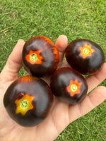 Tomato Dark Galaxy