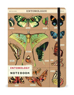 Notebook - Entomology