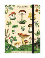 Notebook - Forage