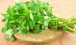 Fenugreek Seeds