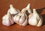 Garlic Tasmanian Purple Organic