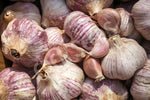 Garlic Glamour Organic Seeds