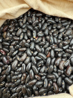 Bean Bush Black Valentine Organic Seeds