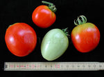 Tomato Manapal Seeds