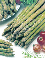 Asparagus Connovers Colossal Seeds