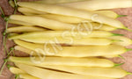 Bean Bush Cherokee Wax Seeds