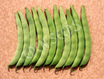 Bean Bush Double Princess Seeds