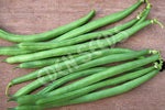 Bean Bush Jade Seeds