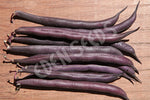 Bean Bush Royal Burgundy Seeds