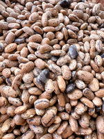 Bean Climbing Rattlesnake Seeds
