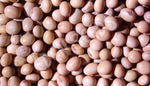 Soy Bean White Seeds