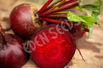 Beetroot Melbourne Early Slowbolt Seeds