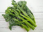 Broccoli Kailaan Seeds