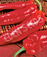 Capsicum Marconi Red Seeds