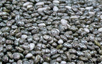 Chia Black Organic Seeds