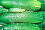 Cucumber Green Gem Seeds