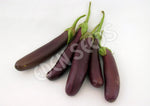 Eggplant Little Fingers Organic Seeds