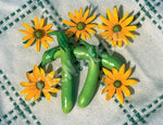 Eggplant Thai Long Green Seeds