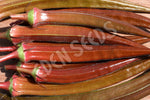 Okra Burgundy Seeds