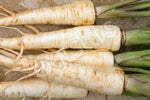 Parsnip Guernsey Seeds
