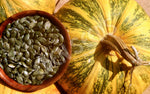 Pumpkin Styrian Hull-Less Organic Seeds