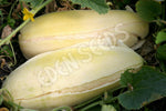 Rockmelon Indian Cream Cobra Melon Seeds