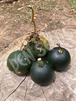 Squash Winter Gem Seeds