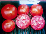 Tomato UC1402 Seeds