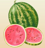 Watermelon Warpaint Seeds