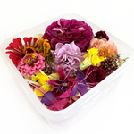 BULK- Freeze Dried Seasonal Edible Flowers