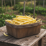 Bean Climbing Kentucky Wonder Yellow Wax Seeds
