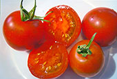 Saving Tomato Seeds