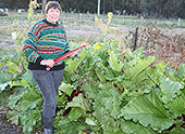 Seed Curators Needed