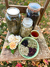 Grow Your Own Healing Herbal Teas