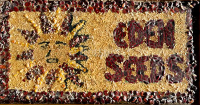 Seed Mosaic Art