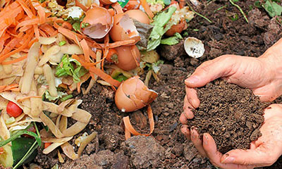 Composting 101