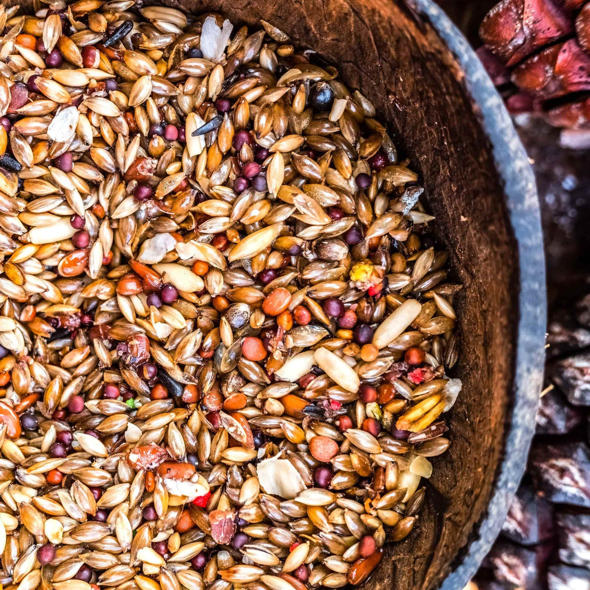Seed Mixes - Seeds