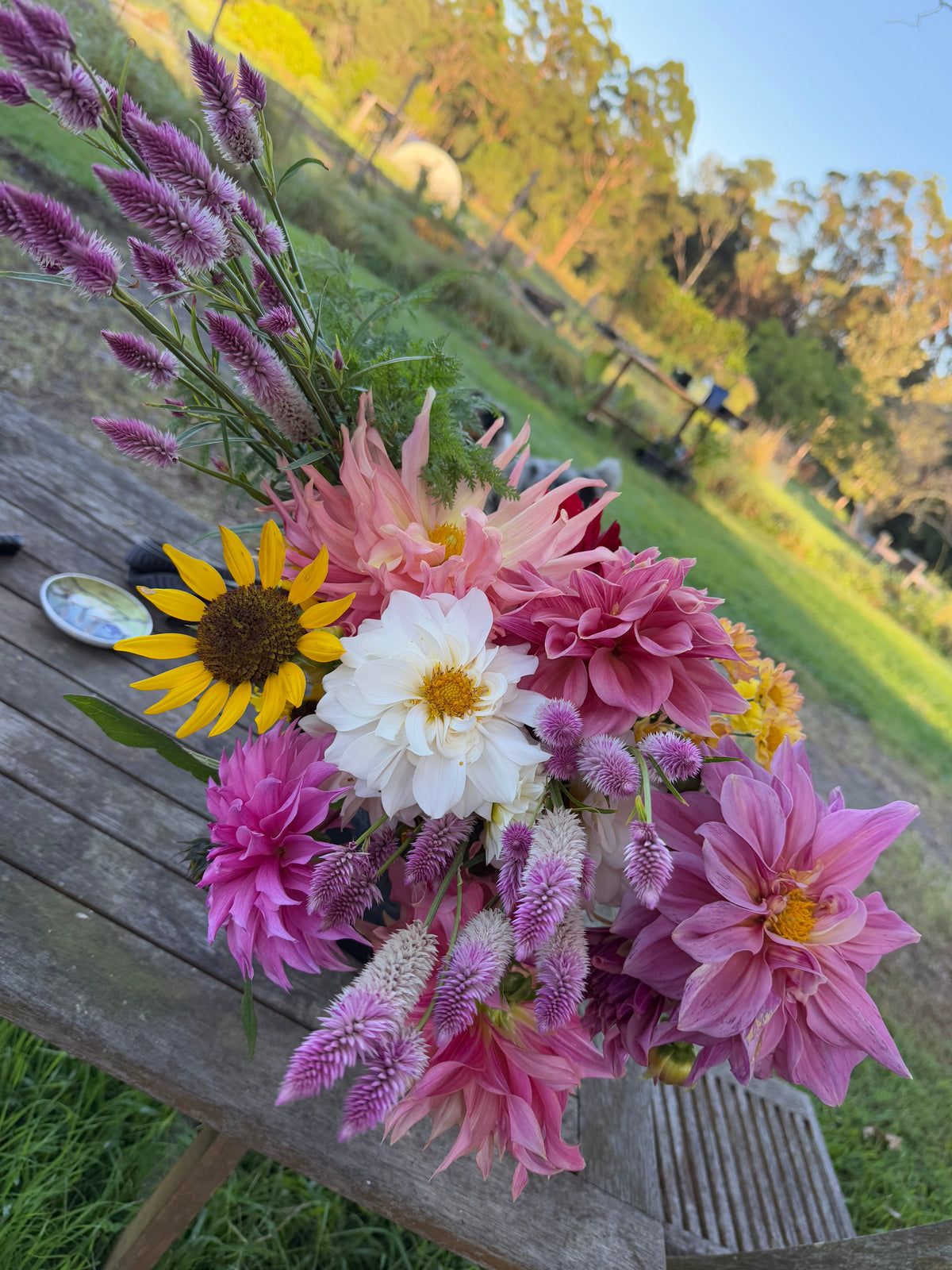Flowers - Seeds