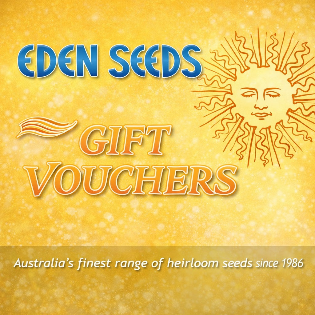Gift Voucher