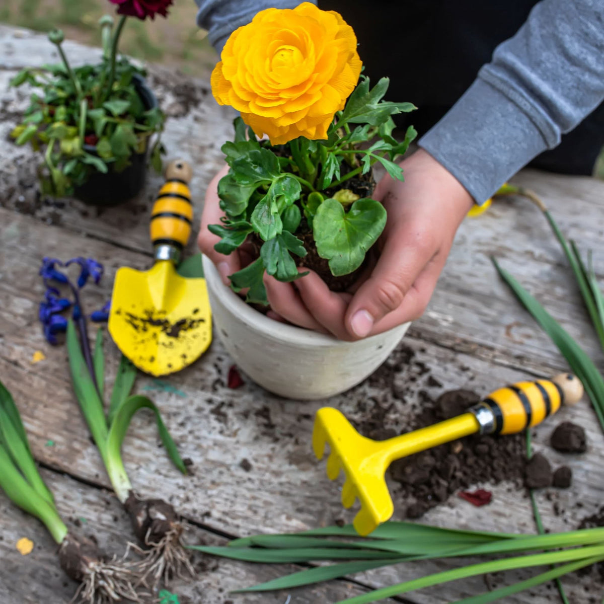 Other Gardening Products