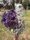 Statice Pacific Mixed Seeds