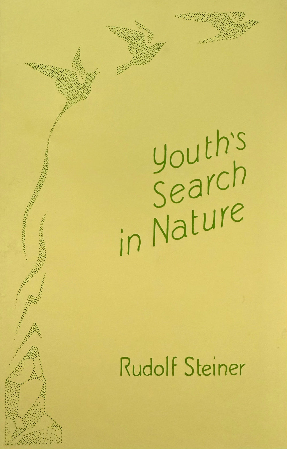 Youths Search In Nature