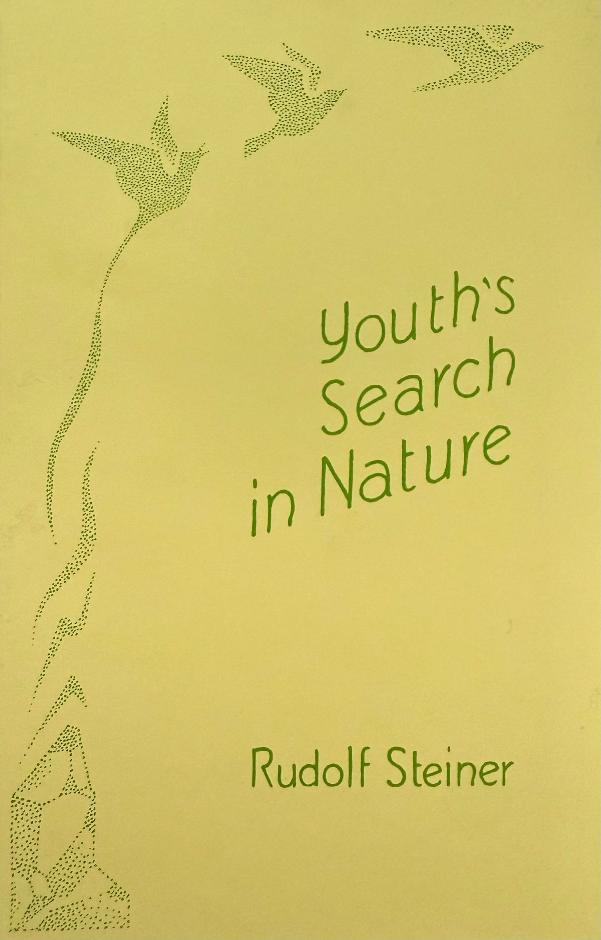 Youths Search In Nature