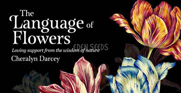 Language of Flowers