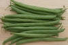 Bean Bush Strike Seeds