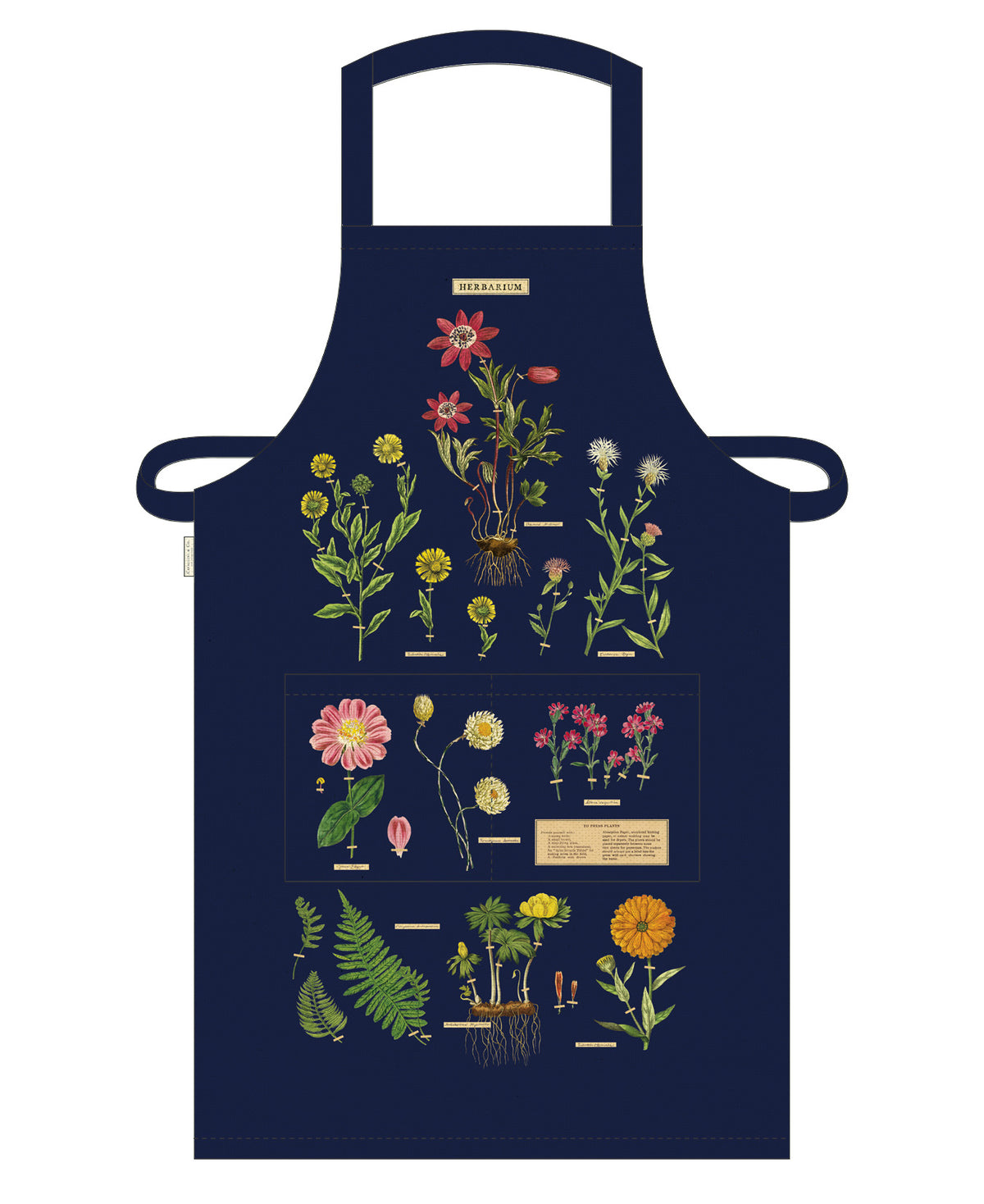 Apron Herbarium