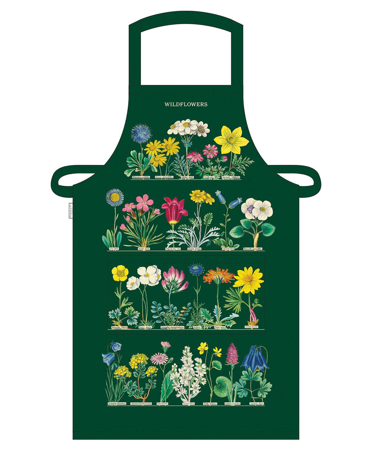 Apron Wildflowers