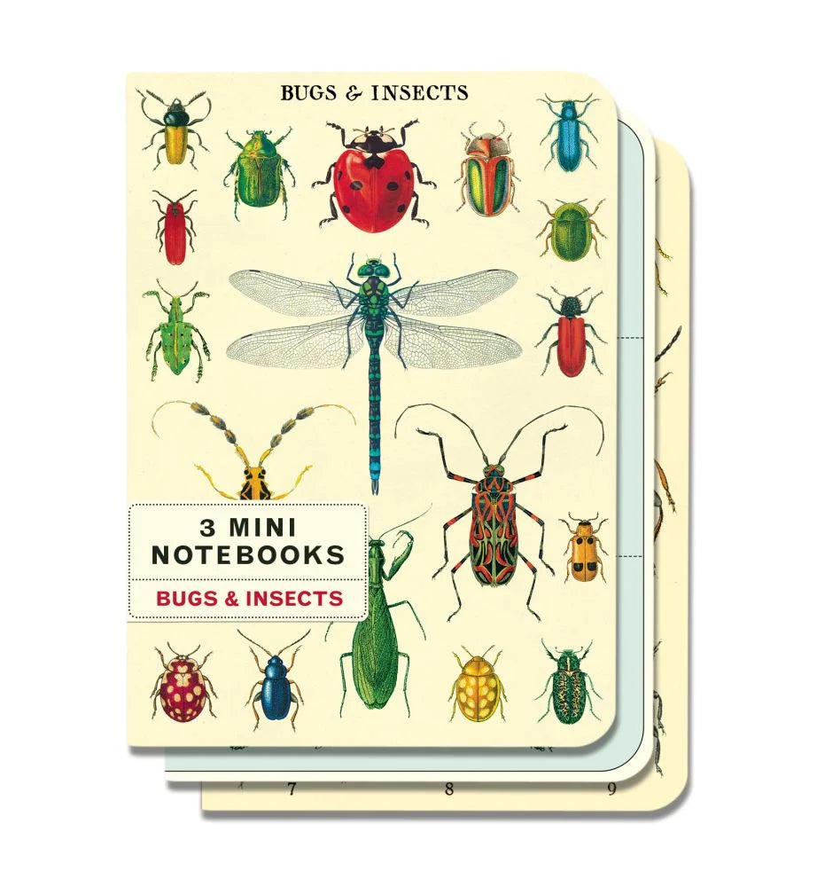 Mini Notebook Set Bugs & Insects