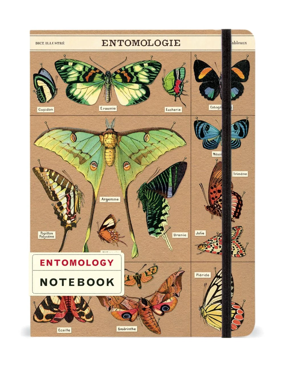 Notebook - Entomology
