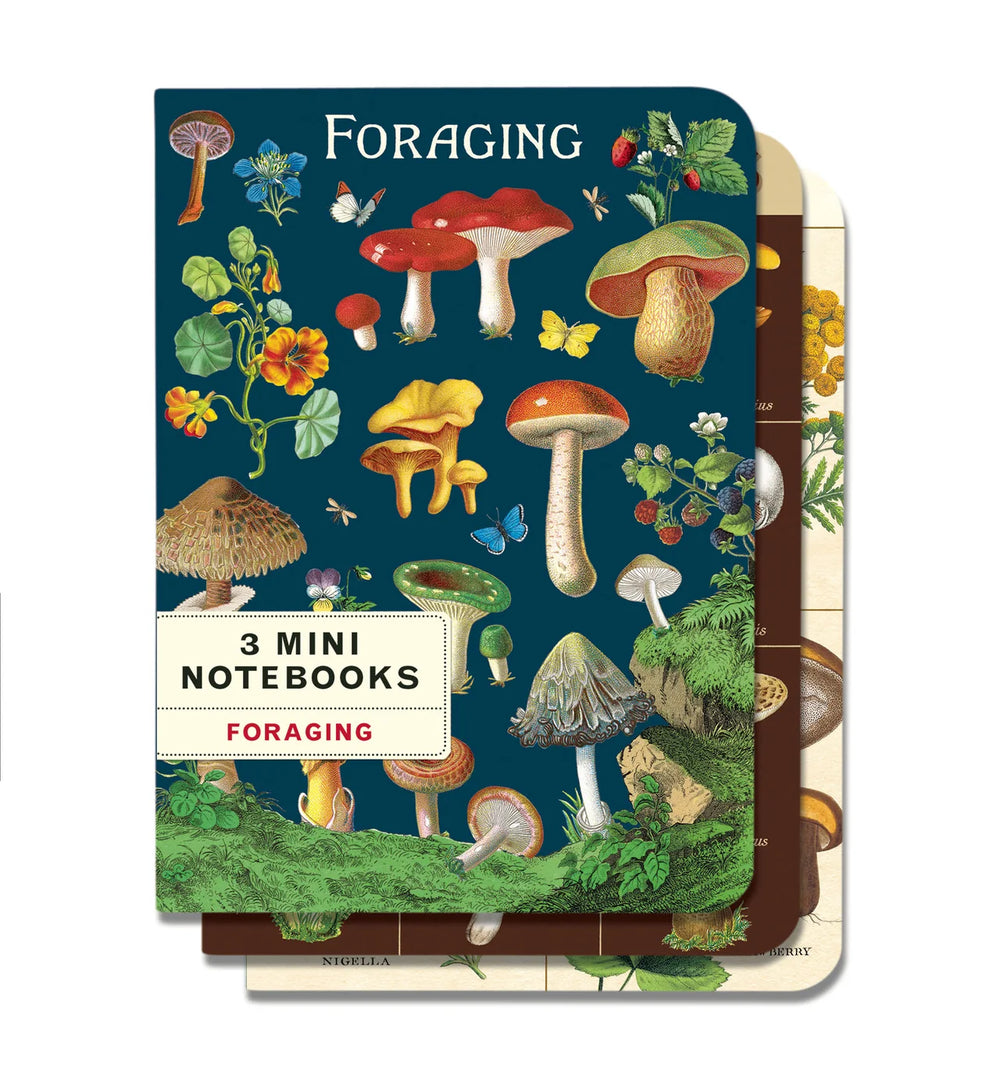 Mini Notebook Set Forage